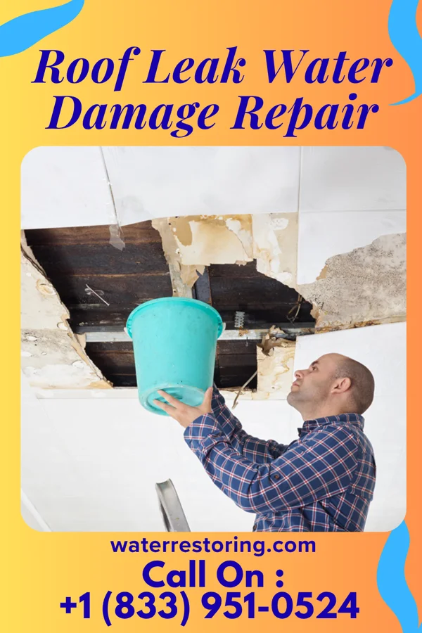 Roof Leak Water Damage Repair in Conneautville, PA