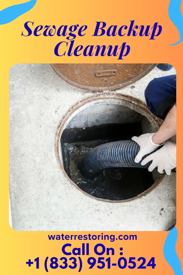 Sewage Backup Cleanup in Conneautville, PA