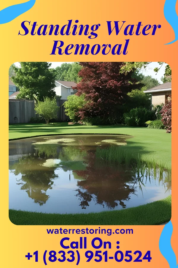 Standing Water Removal in Conneautville, PA
